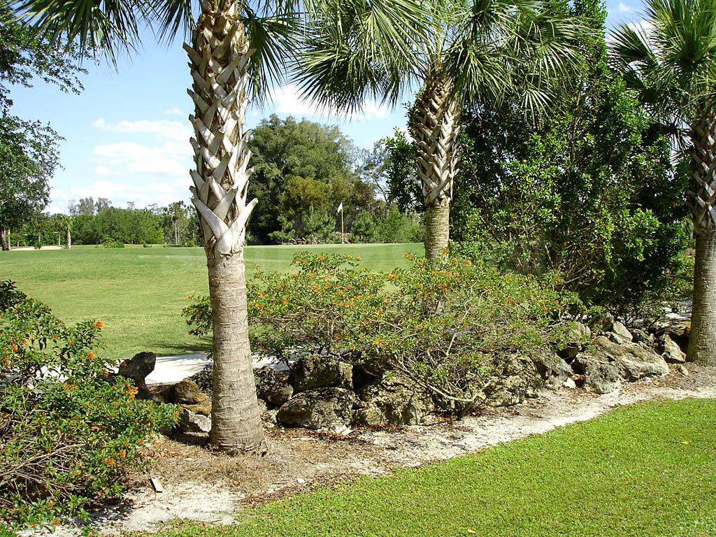 Cypress Lake Country Club Condos View of Golf Course